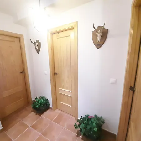 Margarita Apartment *